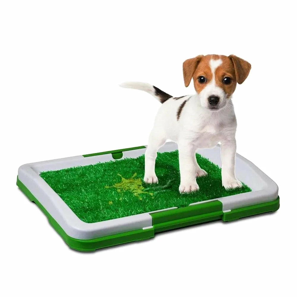 TVTimeDirect Pets Duke's Indoor Potty Trainer Tray 7 TVTimeDirect Pets Duke's Indoor Potty Trainer Tray