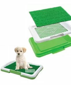TVTimeDirect Pets Duke's Indoor Potty Trainer Tray 13 TVTimeDirect Pets Duke's Indoor Potty Trainer Tray