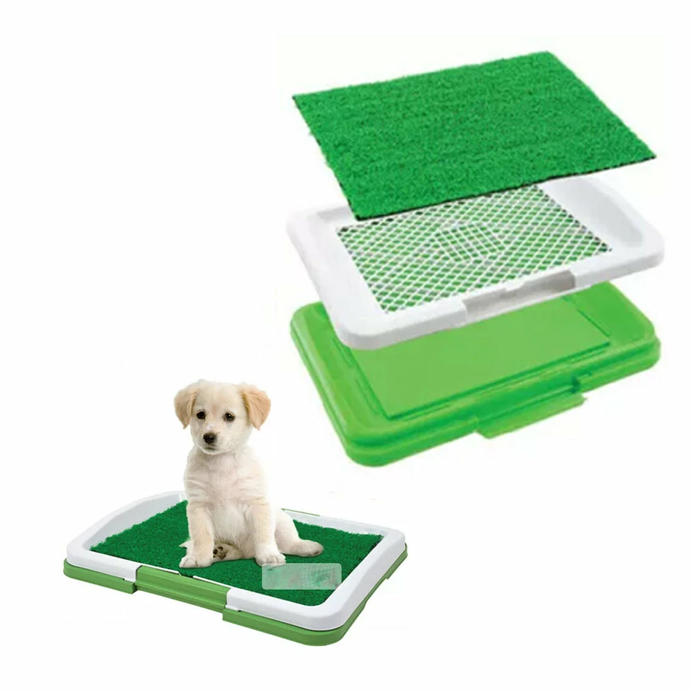 TVTimeDirect Pets Duke's Indoor Potty Trainer Tray 8 TVTimeDirect Pets Duke's Indoor Potty Trainer Tray