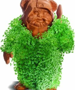 TVTimeDirect Chia Pet Planter - Star Wars EWOK