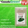TVTimeDirect Canada Green Grass Lawn Seed - 6 Pound Bag