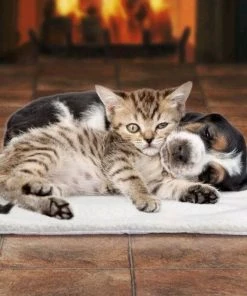 TVTimeDirect Innovative Living Self-Warming Pet Cushion - 24" X 18"