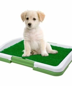 TVTimeDirect Pets Duke's Indoor Potty Trainer Tray 11 TVTimeDirect Pets Duke's Indoor Potty Trainer Tray