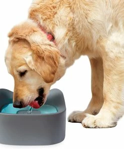 TVTimeDirect Pet Parade - No Spill Pet Bowl [JB8902] Pets