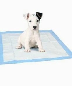 TVTimeDirect Pets Deluxe XL Odor Control Puppy Training Pad - Set Of 3