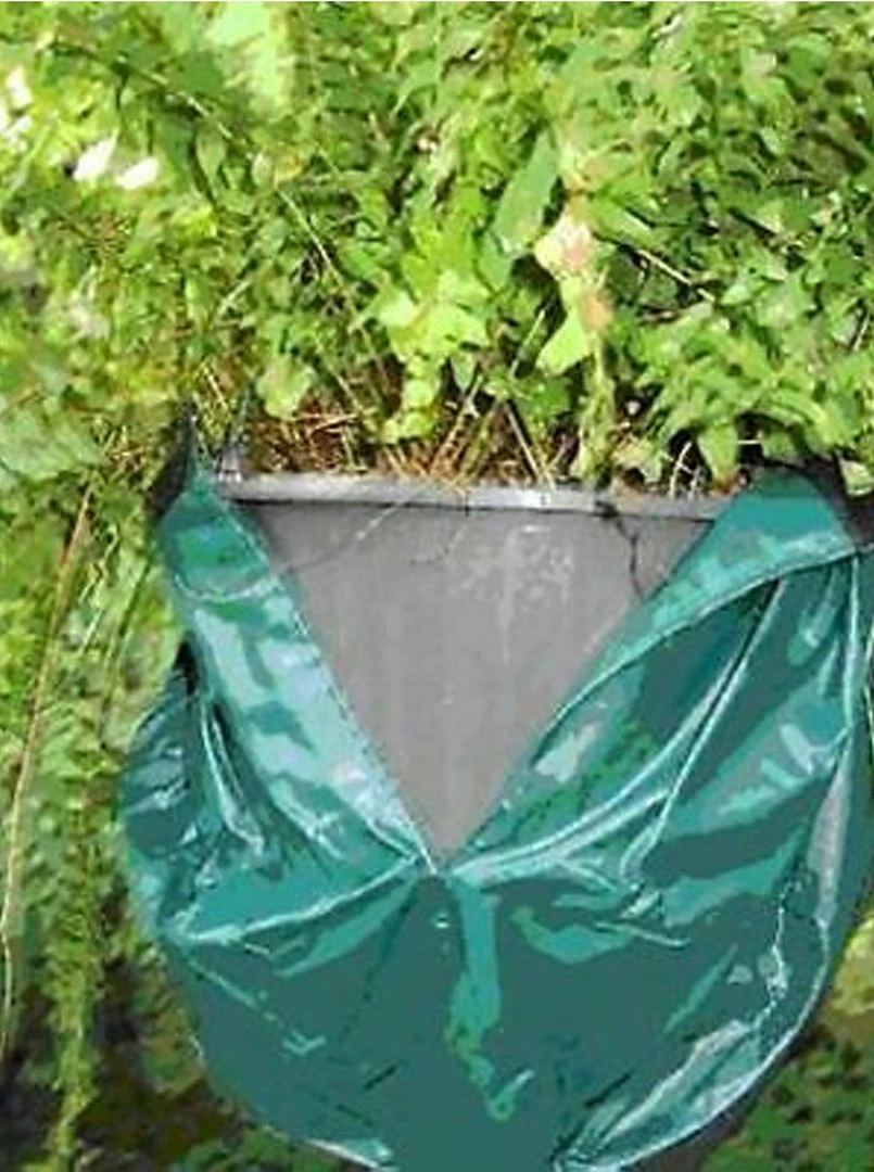 TVTimeDirect The Monkey Pot Cover (Green) Kitchen 3 TVTimeDirect The Monkey Pot Cover (Green) Kitchen