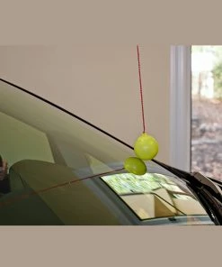 TVTimeDirect Park Right - Parking Ball Automotive 8 TVTimeDirect Park Right - Parking Ball Automotive