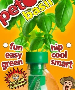 TVTimeDirect Houseware Petomato Basil Plant