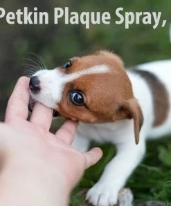 TVTimeDirect Petkin Plaque Spray, 4-Ounce