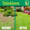 TVTimeDirect Houseware As Seen On TV Quicklawn 4 Season Evergreen Grass Seed - 1 Lb Bag (500 Sq. Ft)