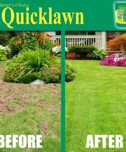 TVTimeDirect Houseware As Seen On TV Quicklawn 4 Season Evergreen Grass Seed - 1 Lb Bag (500 Sq. Ft)