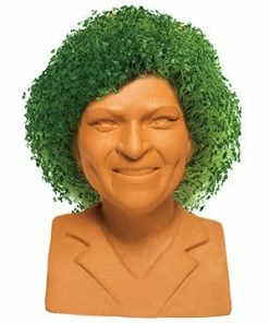 TVTimeDirect Chia Pet Planter - The Golden Girls - Rose