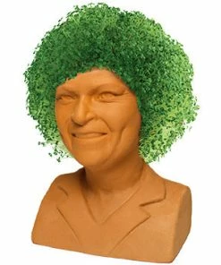TVTimeDirect Chia Pet Planter - The Golden Girls - Rose