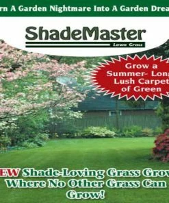 TVTimeDirect Shade Master Lawn Grass Seed, 1 Lb. Houseware
