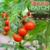 TVTimeDirect Tomato Patch Houseware