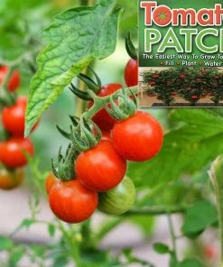 TVTimeDirect Tomato Patch Houseware