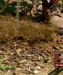 TVTimeDirect Kitchen The Ultimate Awesome Auger 11 TVTimeDirect Kitchen The Ultimate Awesome Auger