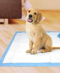 TVTimeDirect Four Paws Wee Wee Pads For Standard And Little Dogs, 72 Count Pets