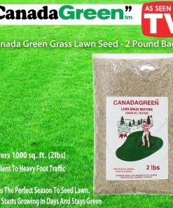 TVTimeDirect Canada Green Grass Lawn Seed - 2 Pound Bag