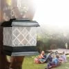 TVTimeDirect Houseware PESTICIDE-FREE WASP TRAP